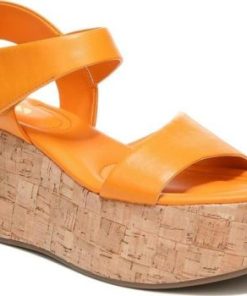 Thenovastitch.shop22fc919b4e 1