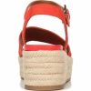 Thenovastitch.shop70ab66b800 6