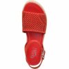 Thenovastitch.shop70ab66b800 7
