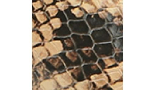 Thenovastitch.shop8bbff5ad38 10