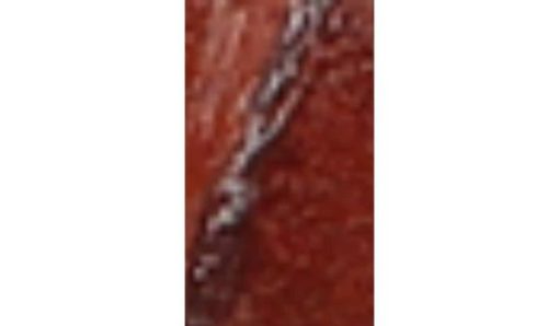 Thenovastitch.shop97fbf717c1 10